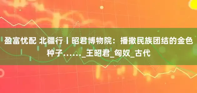 盈富忧配 北疆行丨昭君博物院：播撒民族团结的金色种子……_王昭君_匈奴_古代