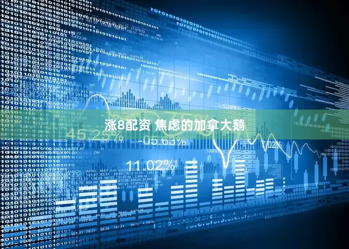 涨8配资 焦虑的加拿大鹅