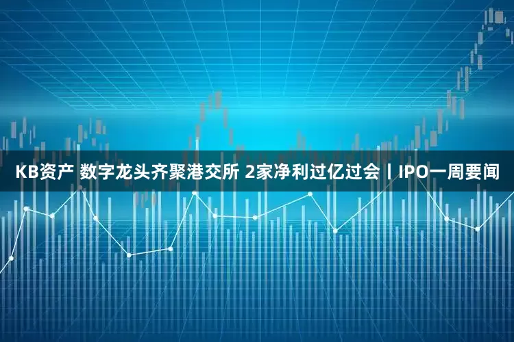 KB资产 数字龙头齐聚港交所 2家净利过亿过会丨IPO一周要闻